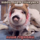 a pig wearing a teddy bear hat and scarf is laying on a bed .