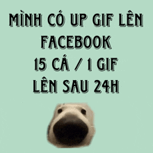 a picture of a dog with the words facebook 15 ca / 1 gif len sau 24h below it