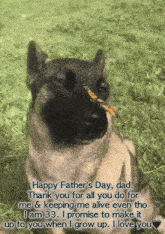 a happy father 's day card with a dog with a butterfly on its nose