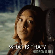 What Is That Sarah Truong GIF - What Is That Sarah Truong Hudson And Rex GIFs