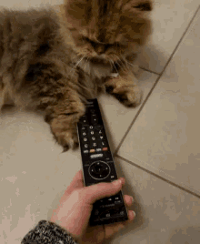 Cat Remote GIF - Cat Remote Pet GIFs