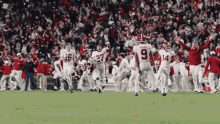 a football player wearing the number 9 jersey is running on the field