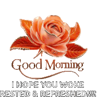 a picture of a rose with the words good morning i hope you woke rested and refreshed