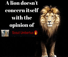 a lion is standing in front of a black background with a quote from scout umbertus