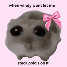 Hamster Meme Windy GIF - Hamster Meme Windy Polo GIFs