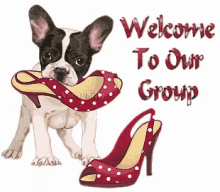 Welcome To Our Group GIF