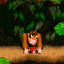 dkc-disappointed.gif