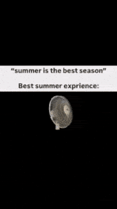 a meme that says " summer is the best season best summer experience "