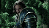 Warcraft Anduin GIF - Warcraft Anduin Lothar GIFs