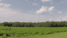 a lush green field with trees in the background on a cloudy day