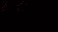 a black background with bolt team written in red letters