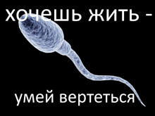a picture of a sperm with the words " хочешь жить " in white letters