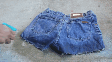Ombre Shorts. Add Bleach To A Spray Bottle GIF - Bleach Distress Clothing GIFs