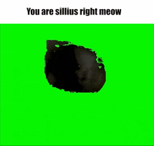 a green screen with a picture of a dog and the words " you are silius right meow "