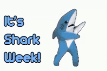Shark Week Happy Dancing GIF - Shark Week Happy Dancing Dancing GIFs