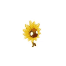 a yellow sunflower with a brown center and white petals on a white background .