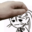 a hand is holding a cat 's head in front of a drawing of a cat .