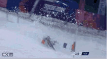 Russia GIF - Olympics Winter Olympics Ski GIFs