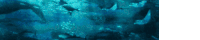 a flock of dolphins are swimming in the ocean .