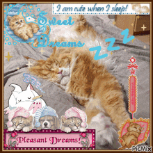 Sleepy Cat Sleepy Cat Picmix GIF - Sleepy Cat Sleepy Cat Picmix Cat Picmix GIFs
