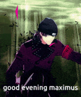 Good Evening Max GIF - Good Evening Max Maximus GIFs