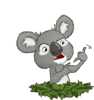 Hangouts Koala Sticker - Hangouts Koala Call Me Stickers