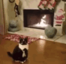 Cat Xmas GIF - Cat Xmas Gifts For Me GIFs