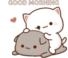 Care Good Morning GIF - Care Good Morning Gomu GIFs