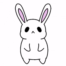 rabbit bunny white lovely no