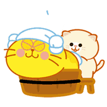 tub cat