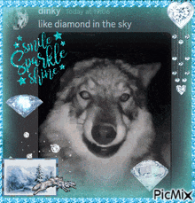Diamond Wolf GIF - Diamond Wolf Blingee GIFs