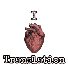 translator translation translatortraductora traducir xl8
