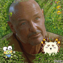 a man with a beard is surrounded by a frog and flowers and says picmix on the bottom right