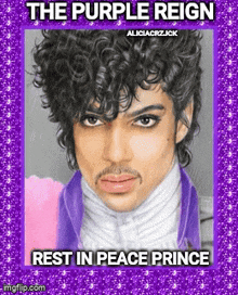 Purple Reign Prince GIF - Purple Reign Prince GIFs
