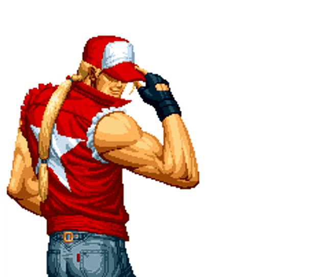 Terry Bogard / Fatal Fury /Kof  King of fighters, Terry bogard