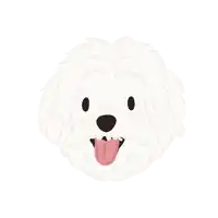 a white dog with its tongue hanging out winks