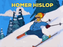 hislop homer simpson snow skiing skiing