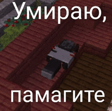 a person is laying in a grave in a minecraft video game .