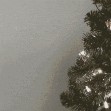 spaghetti christmas lights merry christmas happy xmas christmas tree