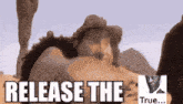 a man in a cowboy hat is standing in the desert with the words `` release the true '' above him .