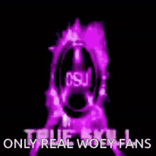 Only Real Woey Fans Legend GIF