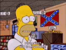 Homer The Simpsons GIF - Homer The Simpsons Gun GIFs