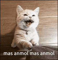 a cat with its mouth open and the words mas anmol mas anmol written below it