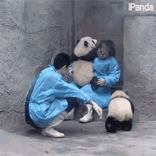 亲亲 抱抱 GIF - 亲亲 抱抱 熊猫 GIFs