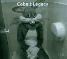 Cobalt Super Smash Bros GIF - Cobalt Super Smash Bros Cobalt Legacy GIFs