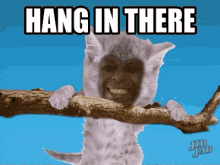 Democrat Hang In There GIF - Democrat Hang In There Cat GIFs