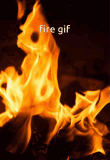 Fire Absolute Fire GIF - Fire Absolute Fire Fire Emoji GIFs