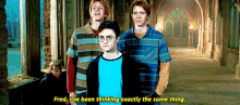 Fred And GIF - Fred And George GIFs
