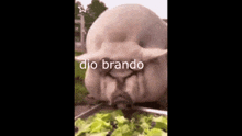 Dio Brando GIF - Dio Brando GIFs