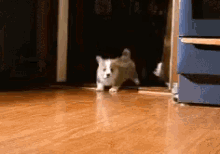 Running Puppies GIF